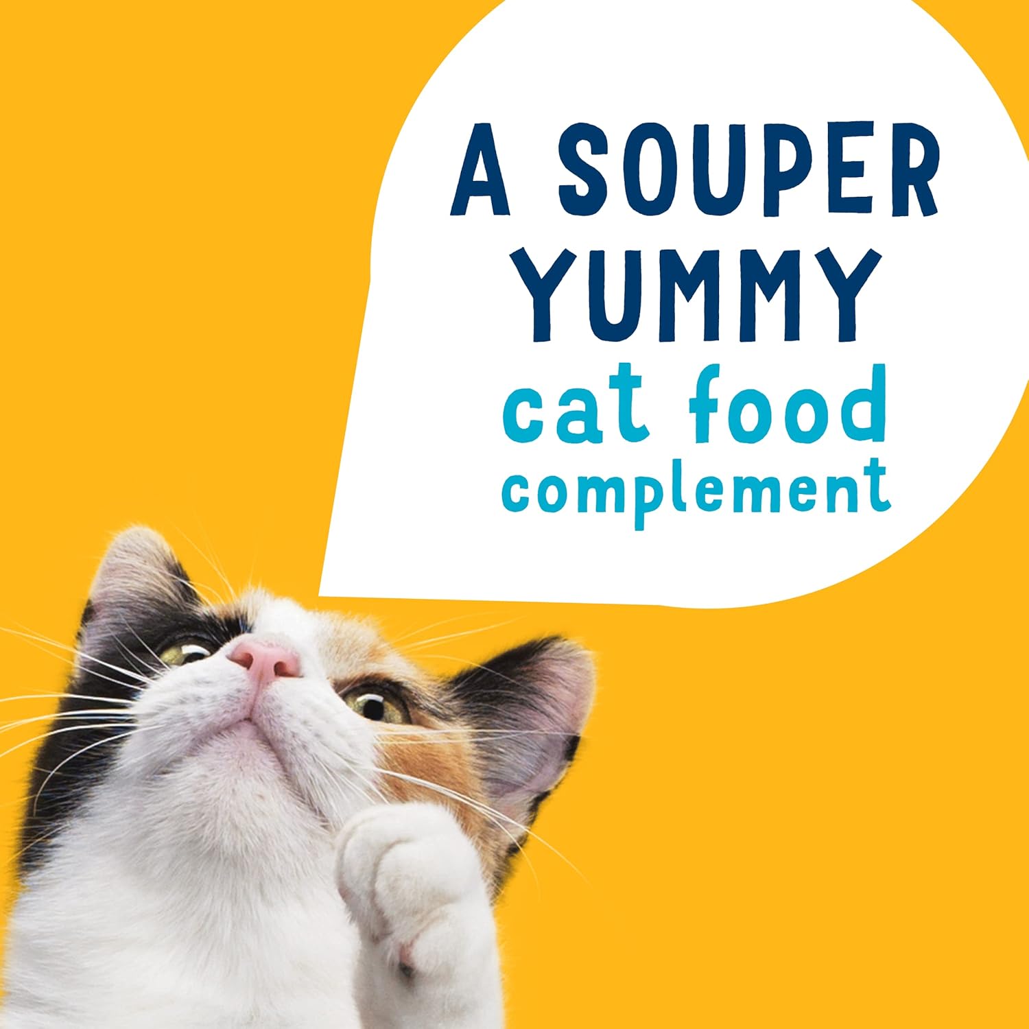 Purina Friskies Lil’ Soups Wet Cat Food Complements Variety Pack Tuna, 1.2 Ounce (Pack of 16)