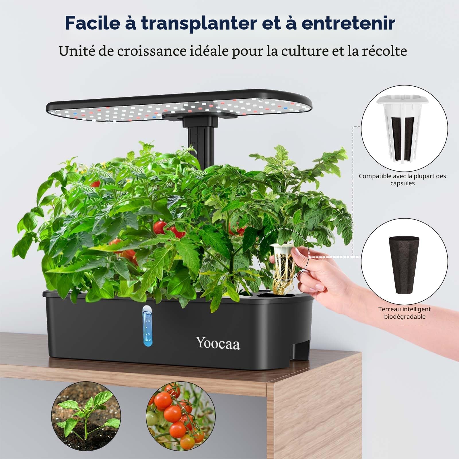 Potager Intérieur pour 12 Plantes, Kits et Systèmes pour Cultures Hydroponiques avec Hauteur Réglable sur 12 Niveaux et Minuteur Intelligent (sans graines)