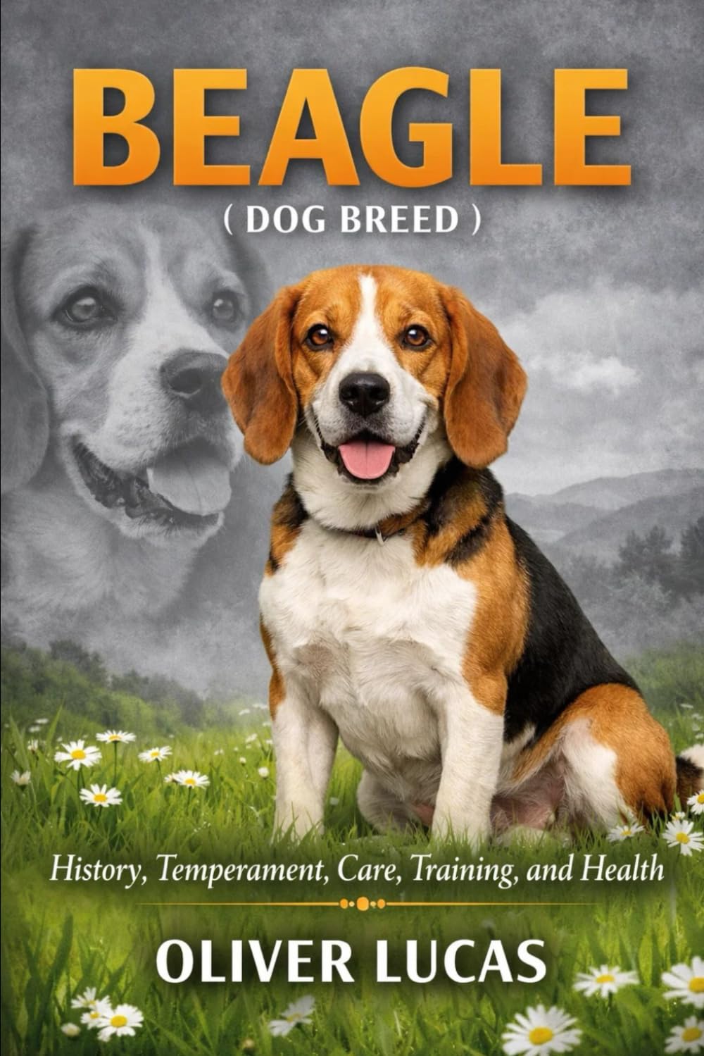 BEAGLE ( DOG BREED ): History, Temperament, Care, Training, and Health