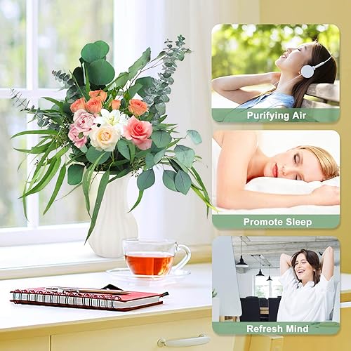 Miniatura 6 de Glicrili 12 tallos mixtos de hojas de eucalipto secas reales  ramas de eucalipto preservadas, eucalipto de dólar plateado, ramos de eucalipto