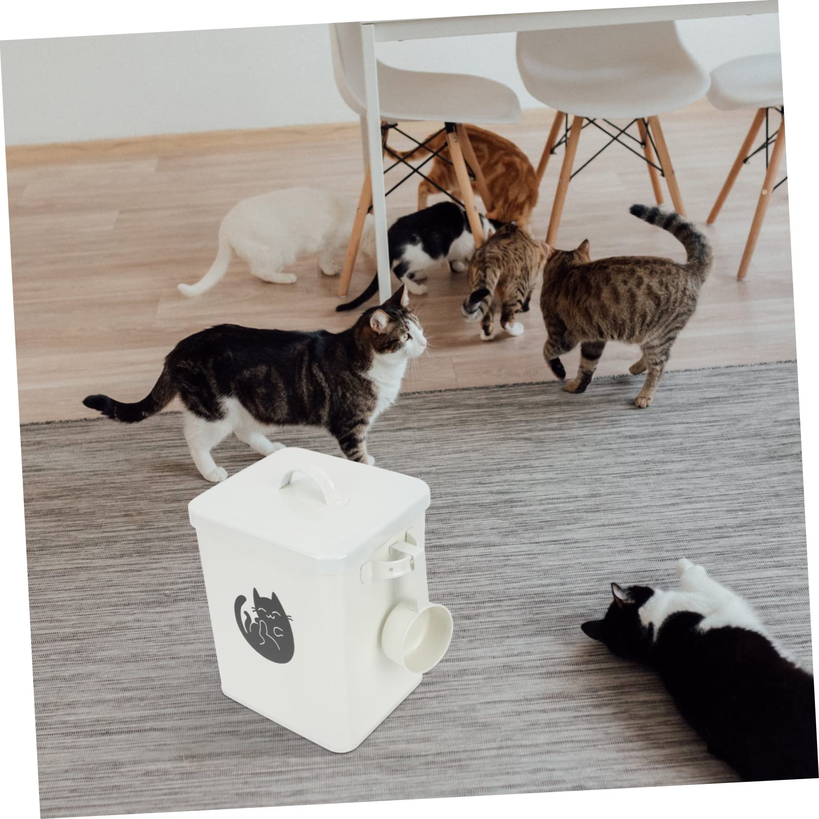 TOPBATHY Cubo Para Comida Para Perros Contenedor De Comida Multifuncional 1 Juego Sellado Fresco