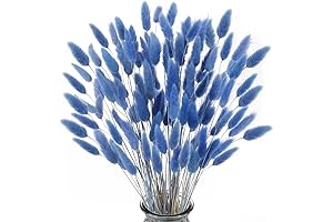 XHXSTORE Blue Dried Flowers Bouquet