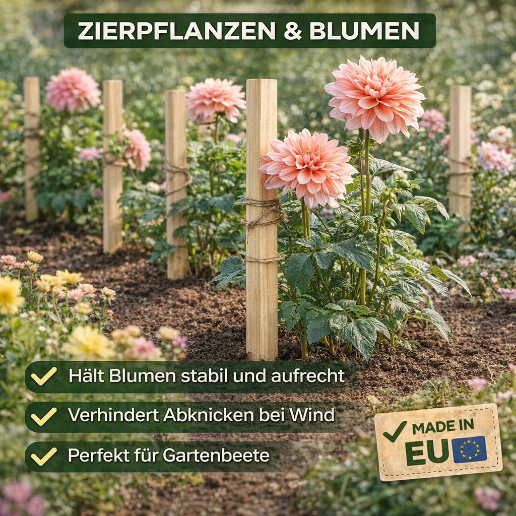 Quadratisch Pflanzstäbe Länge 80 cmSet 50 Stück Buchenholz Holzpflock Gartenstütze Für Pflanzen Bäume Tomaten Holzpfähle Holz Zaunpfosten Garten