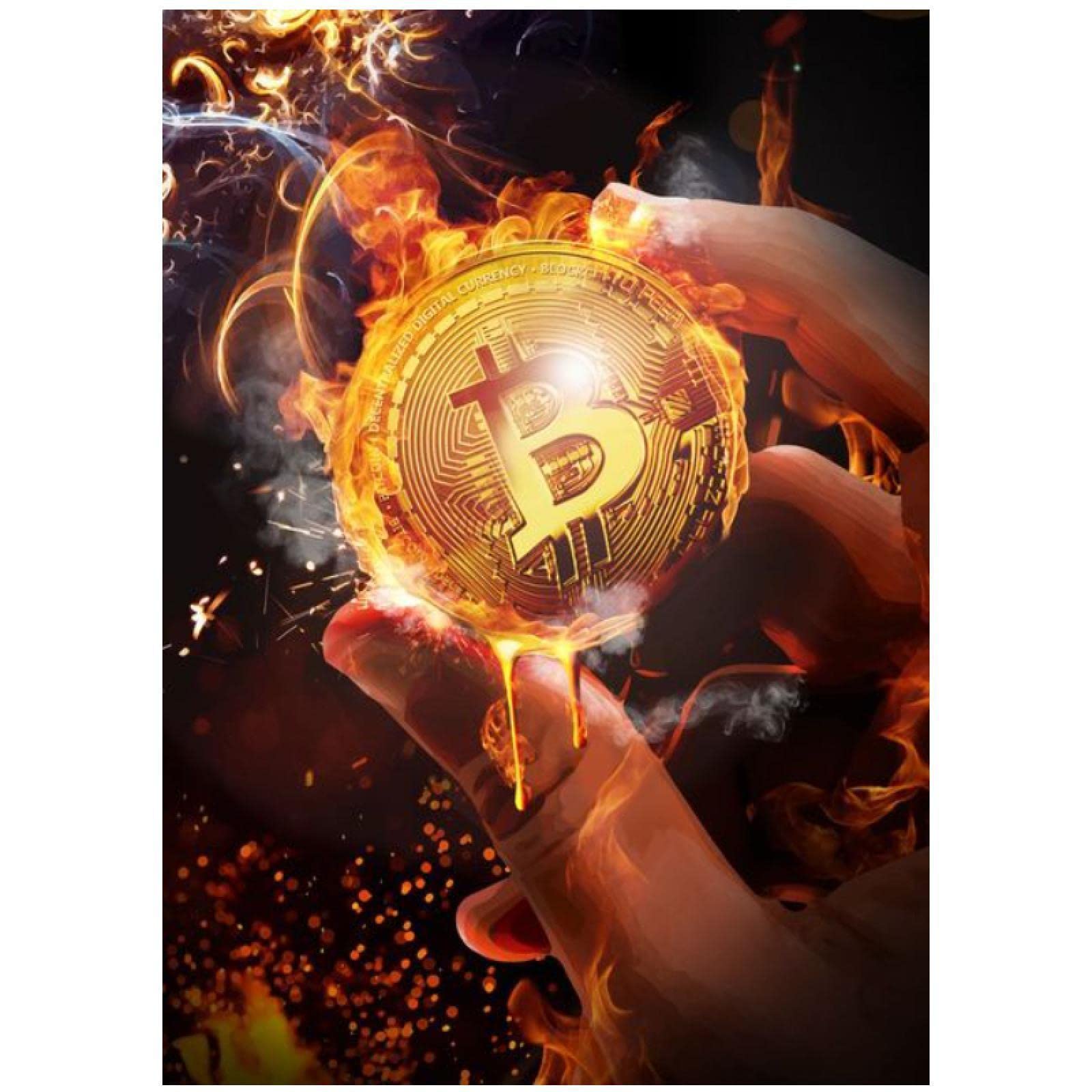 Amazon｜北欧抽象ビットコイン絵画キャンバスポスター印刷現代絵画壁アート写真家の装飾（70x100cm /  27.6×39.4インチ）フレームレス｜ウォールステッカー オンライン通販