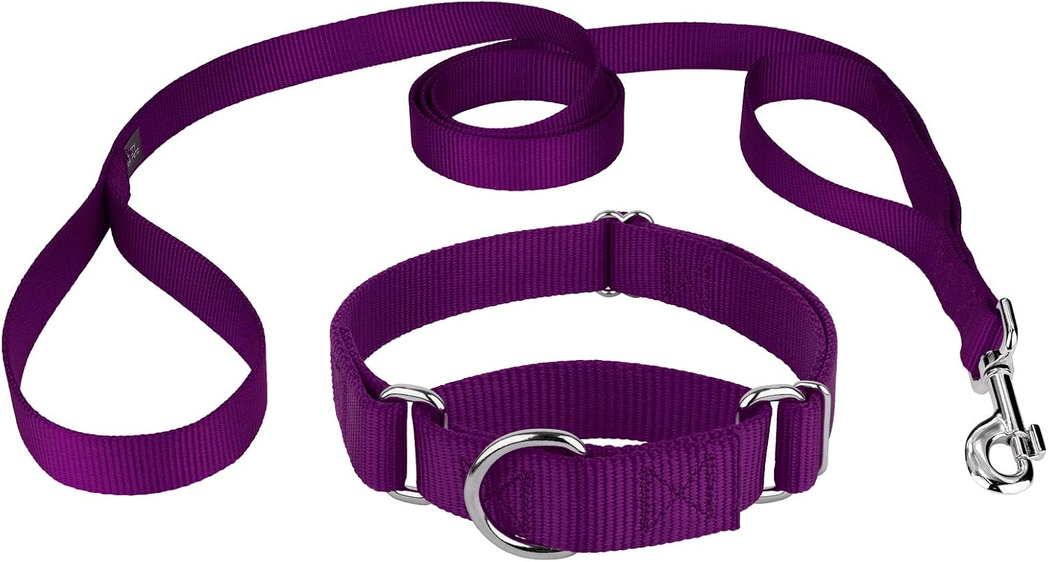 Country Brook Petz - Purple Martingale Heavyduty Nylon Dog Collar and Double Handle Leash (1 Inch, Large)