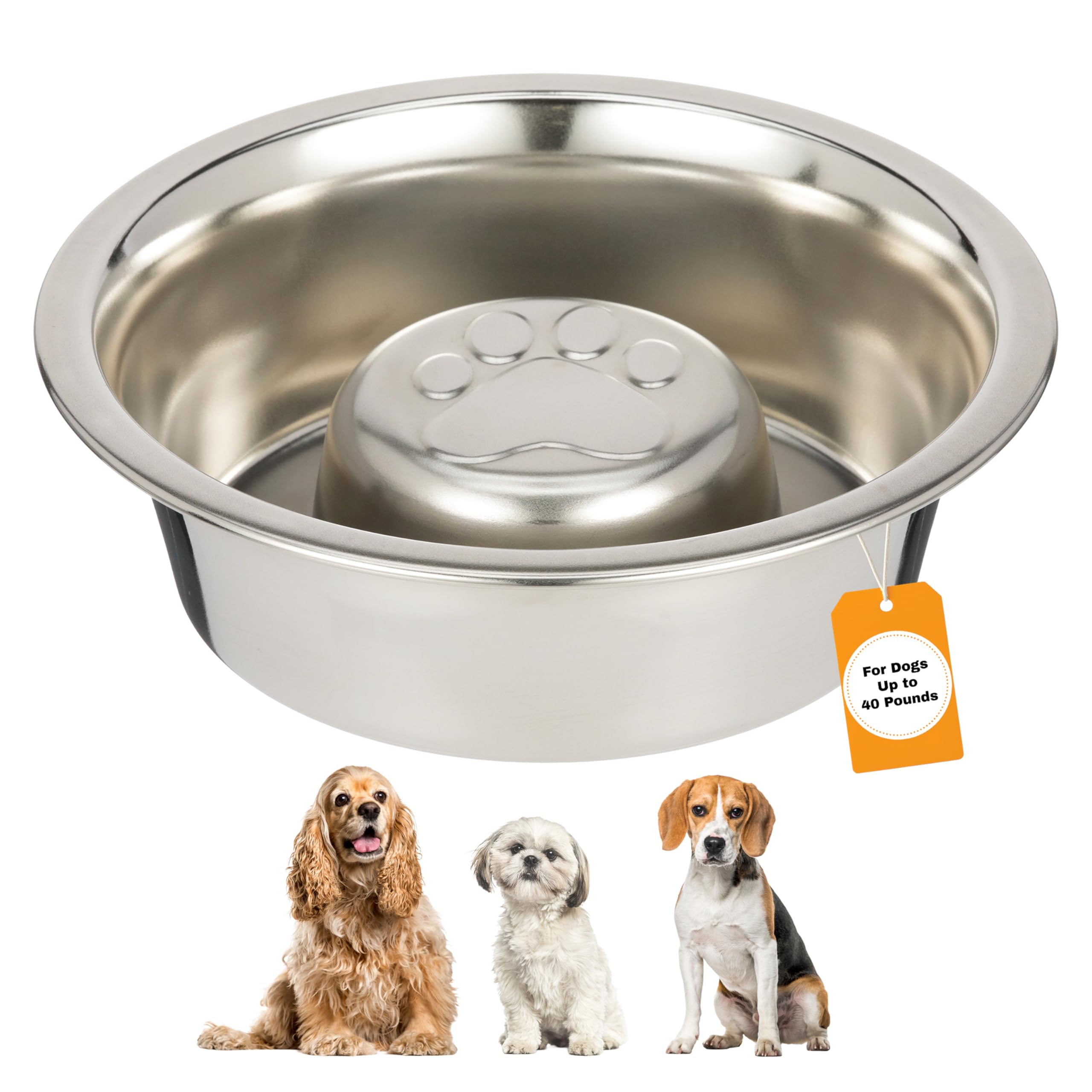 Neater Pet Brands Stainless Steel Slow Feed Dog Bowl for Fast Eating Medium Breed, Metal Slow Feeder Dog Bowl Fits in Medium Neater Feeder Deluxe, for Puppy or Dogs (19-40 lbs), 1 Cup Food Capacity