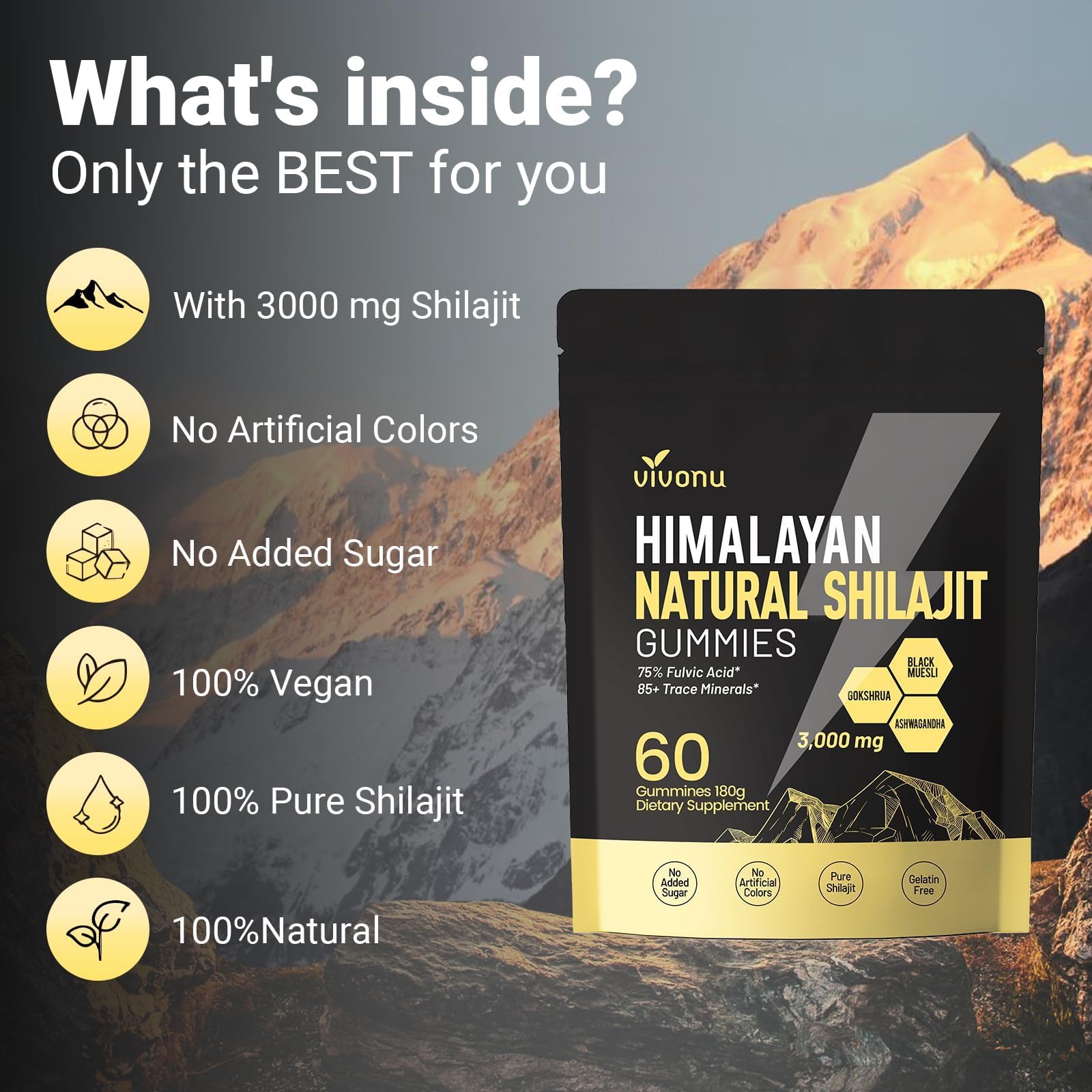 VivoNu Gomme Shilajit