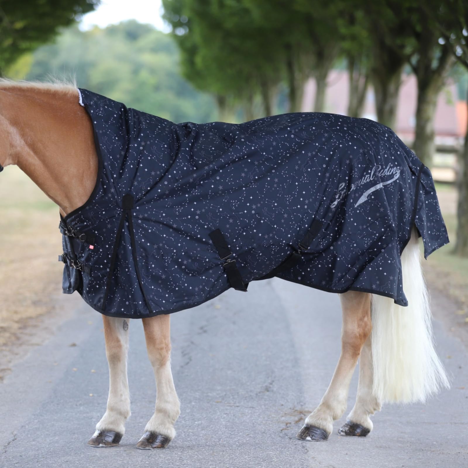 Imperial Riding - Outdoordecke 600D IRHSuper-Dry Stardust – als Regendecke, Übergangsdecke & Winterdecke – wasserdichte Weidedecke mit Fleece-Futter – Pferdedecke in Schwarz – 125cm