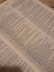 NKJV Amplified Parallel Bible (Hardcover): Large Print Edition: Hendrickson Publishers ...