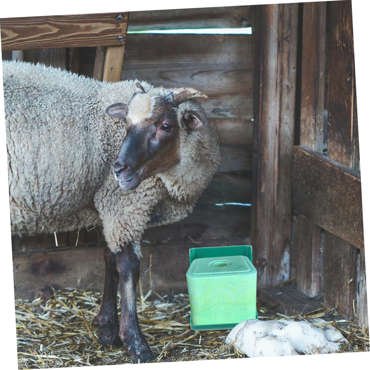 2Pcs Sheep Salt Block Holder Rack Convenient Salt Feeding Accessory for Cattle Horses Livestock Durable Nutrition Lick Brick Box for Optimal Growth