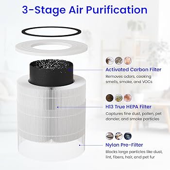 Levoit Core 300 用 純正フィルター ２個 Amazon.com: 2-Pack Core 300 Replacement Filter Compatible