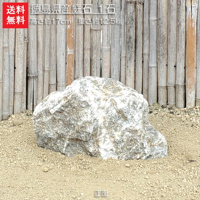 引き取り限定　青石 極上 阿波 四国 徳島 伊予 庭石 縮緬石 岩 石 引き取り限定 青石 極上 阿波 四国 徳島 伊予 庭石 縮緬石 岩 石