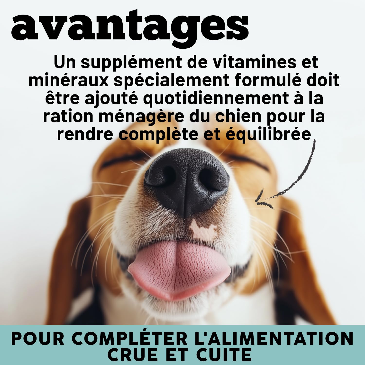 Multivitamines pour Chiens | Équilibre la Diète Maison et Barf | 12 Vitamines + 10 minéraux | avec Algue Spiruline | en Poudre | 220g
