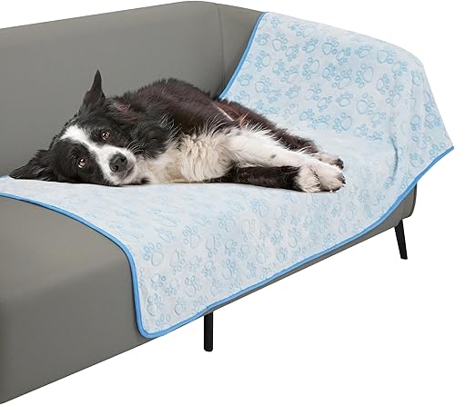 Miniatura 27 de Stuffed Manta suave de alta calidad lavable para perros, manta de gato de 40 x 32 pulgadas para gatos de interior, artículos esenciales para Gris
