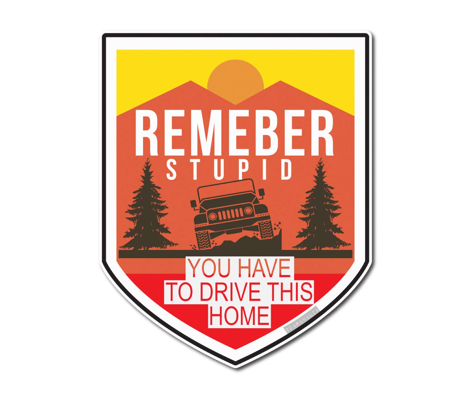 Remember Stupid You Have to Drive This Home Sticker | 4