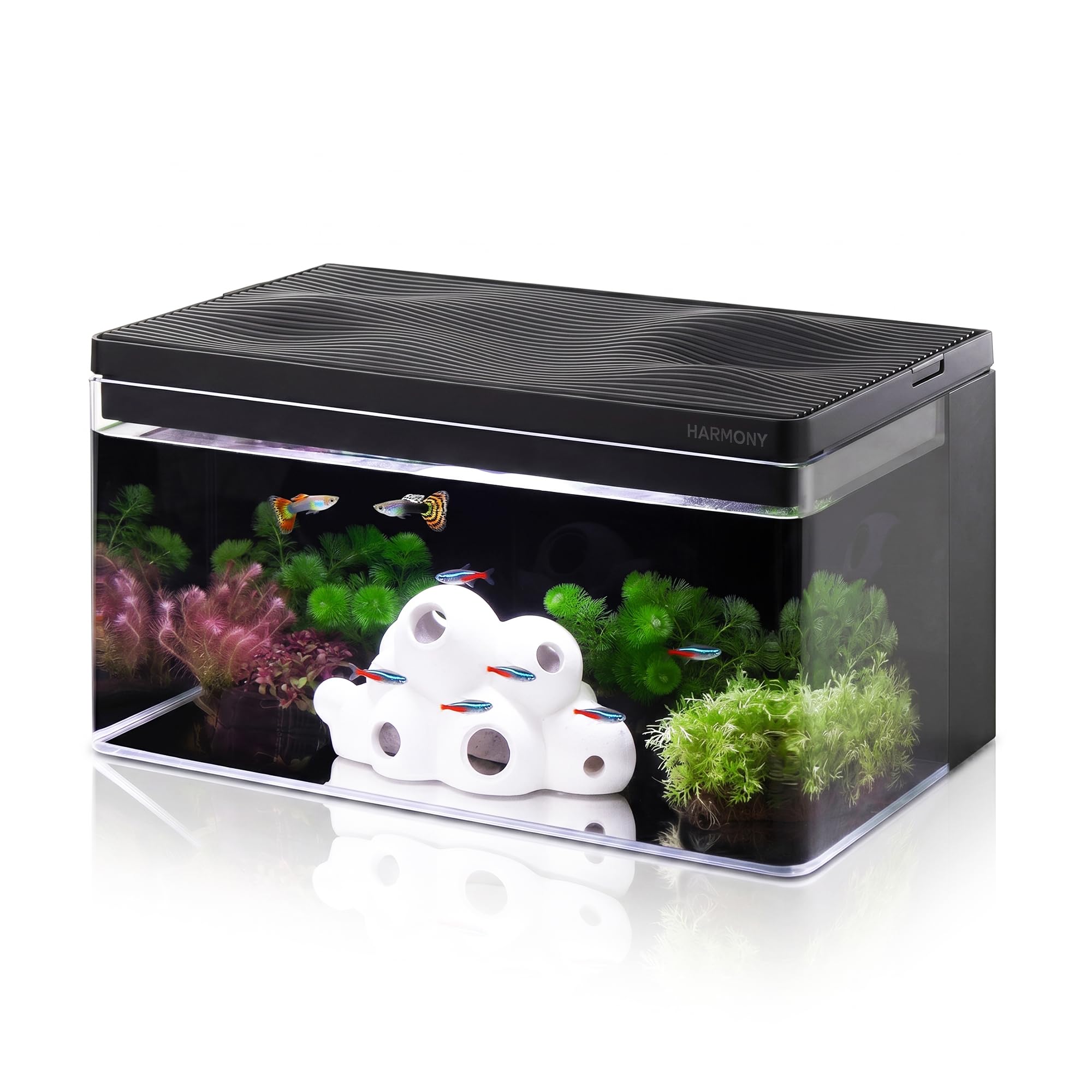 Harmony Aquarium Deluxe von Clairnara – All-in-One Süßwasser-Fischbecken mit LED-Licht, leiser Pumpe und patentierter Filtration – iF Design Award Gewinner
