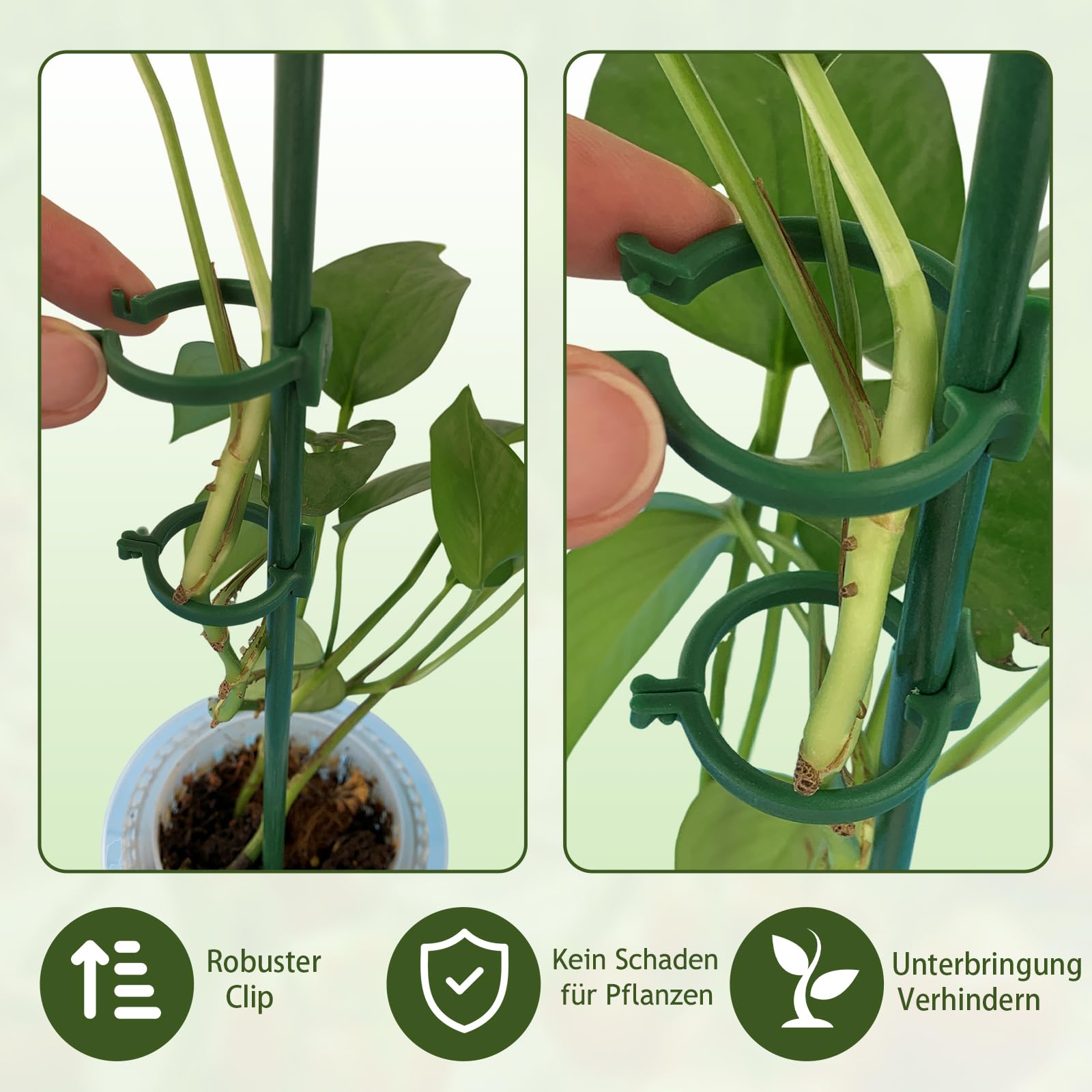 Kit 90 Pezzi Supporti Per Piante - Bastoncini Orchidee Con Moschettoni E Tubi Estensibili - Foto 8