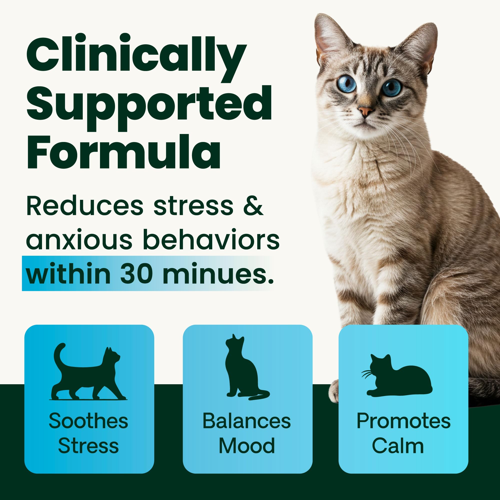 VetriScience Calm & Confident Chews, Composure Calming and Anxiety Supplement for Cats, Reduce Stress and Fear, Ideal for Travel, Vet, Grooming and Routine Changes, Chicken, 30 Count - image 3