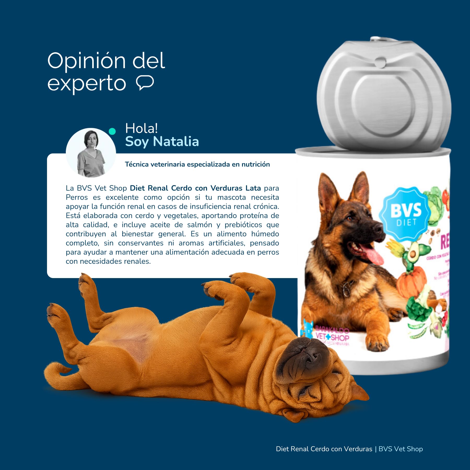 BVS Vet Shop | Diet Renal Cerdo con Verduras Lata para Perros | Adecuado para apoyar la función renal, con Aceite de salmón y prebióticos | 6 unid. x 400 gr