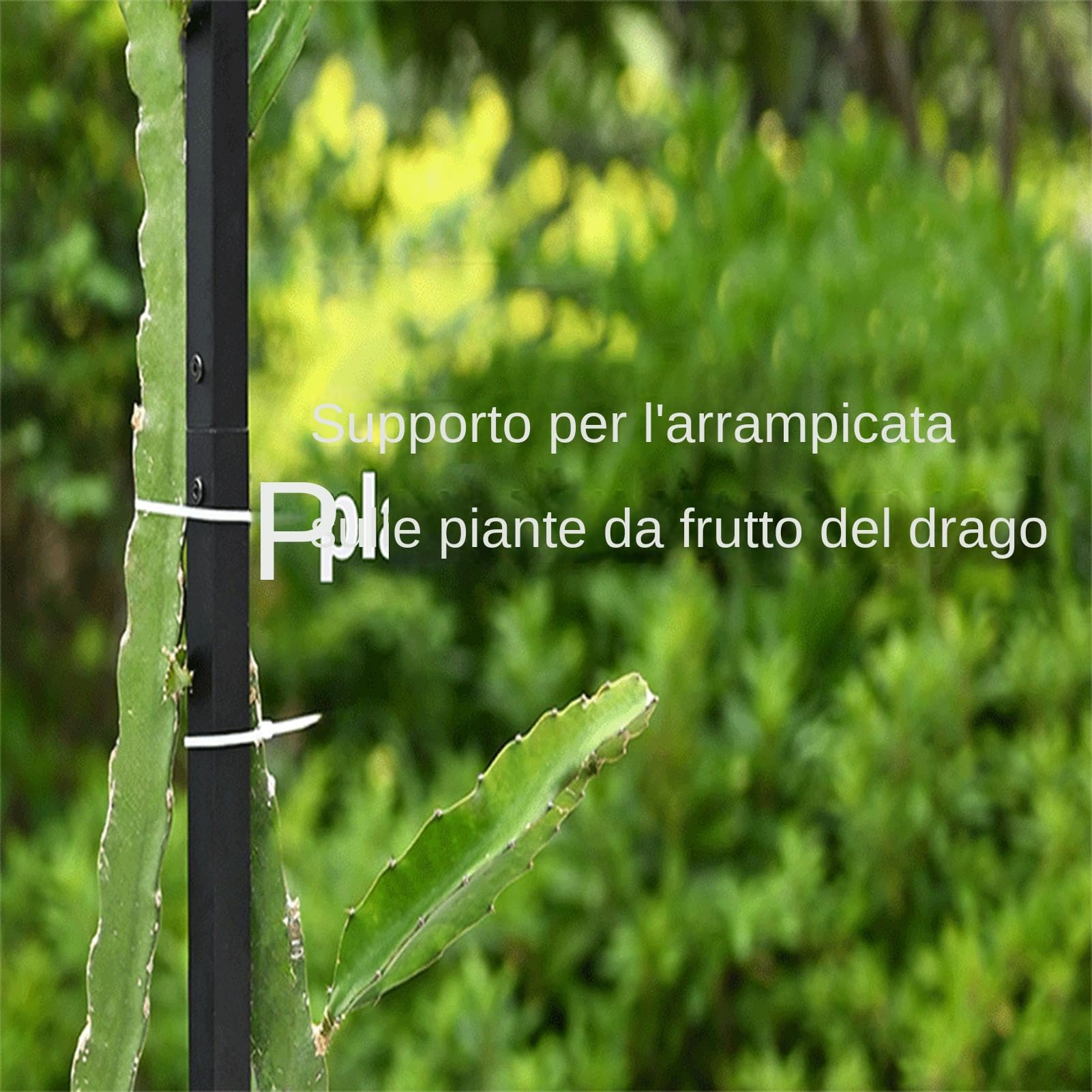 Enrejado Vertical para Plantas trepadoras Poste de Cultivo con Soporte de