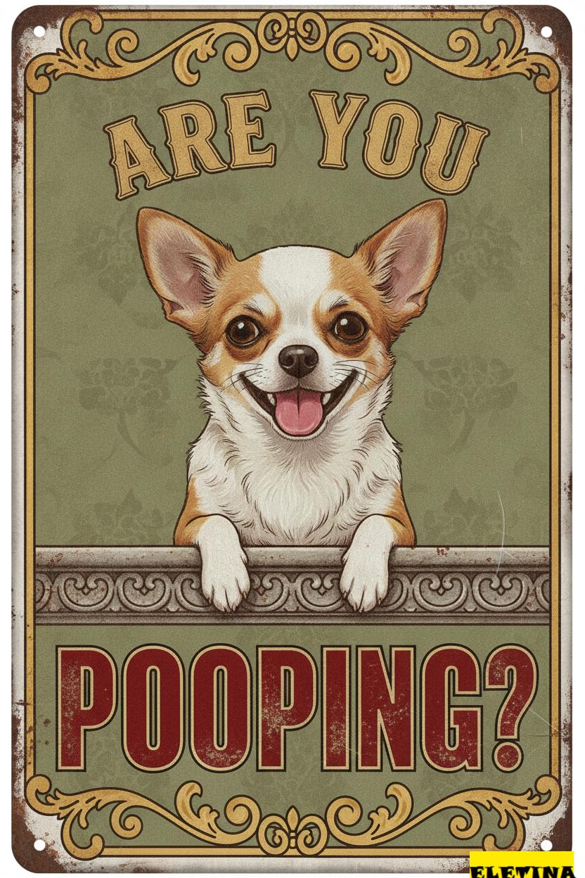 Personalized Sign for Man Cave Metal Tin Are You Pooping Chihuahua Vintage Metal S Retro Aluminum Tin Washroom Garden Door Home Bar Cafe Decor 8x12 Inch Private Property Decorative