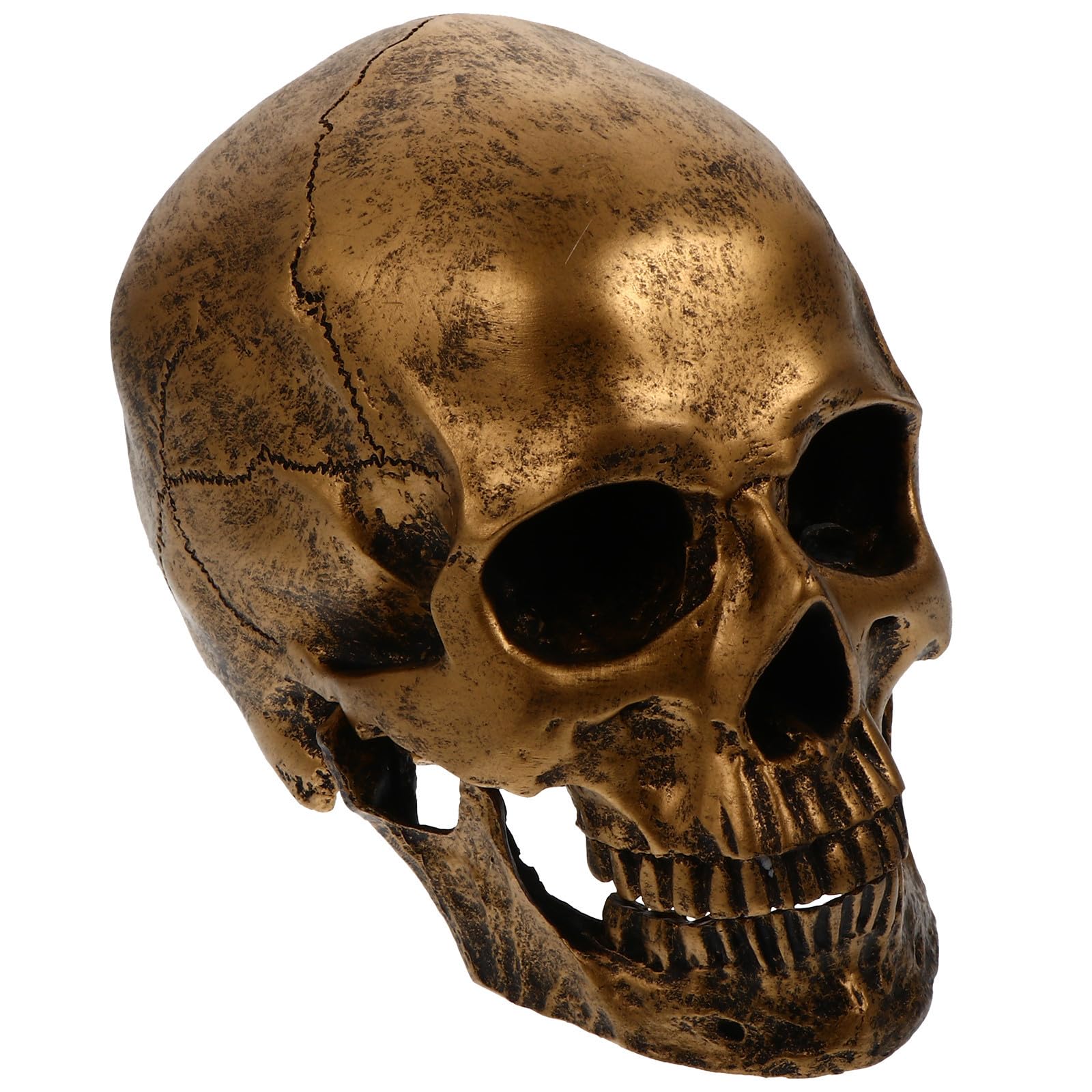 Statue tête de mort vintage Luxshiny avec reproduction fidèle pour collectionneur