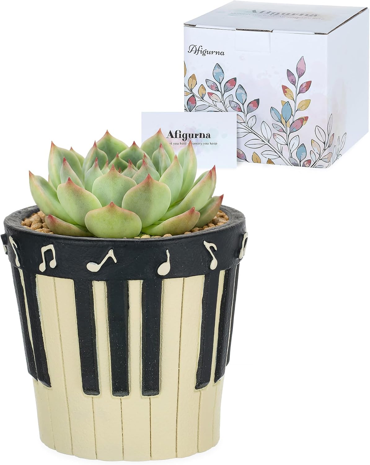 Piano Gifts for Music Lovers: Music Gift for Women Musicians | Hand-Painted 3D Art Planter, Perfect Present for Piano Lovers, Musical Decor for Birthday, Christmas, Valentine’s Day