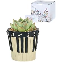 Piano Gifts for Music Lovers: Music Gifts for Women Piano Players Musicians &ndash; Musical Decor Present Gift Ideas on Birthday Christmas Valentine's Day