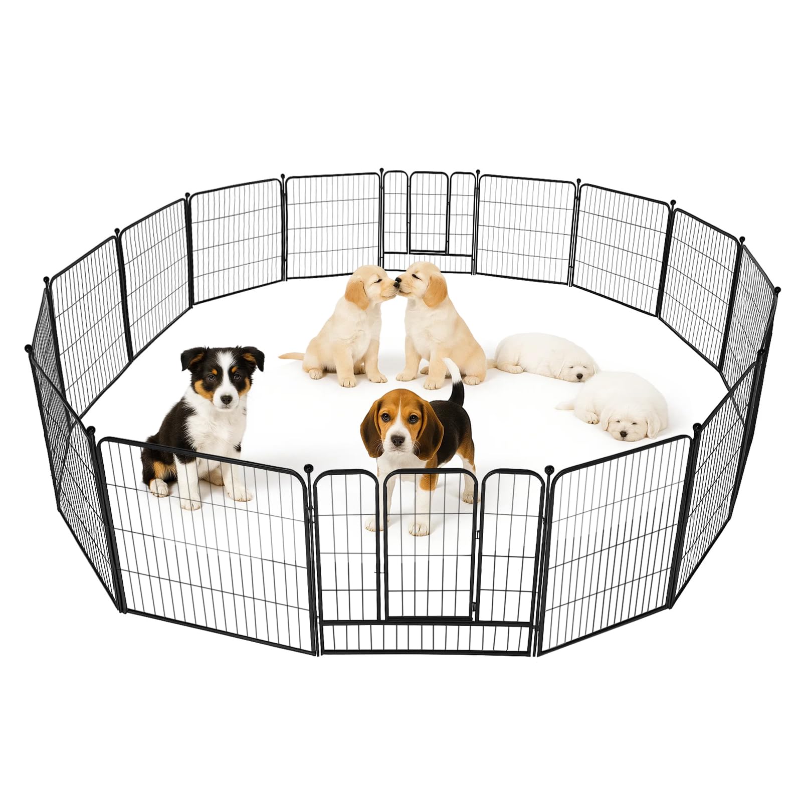 Trintion Welpenauslauf Hundelaufstall mit Einhand-Sicherheitsschloss, stabiles faltbares Hundegitter aus Metall für Welpen & Hunde, modularer Hundelaufstall für Innen & Außen (8PCS+80CM)