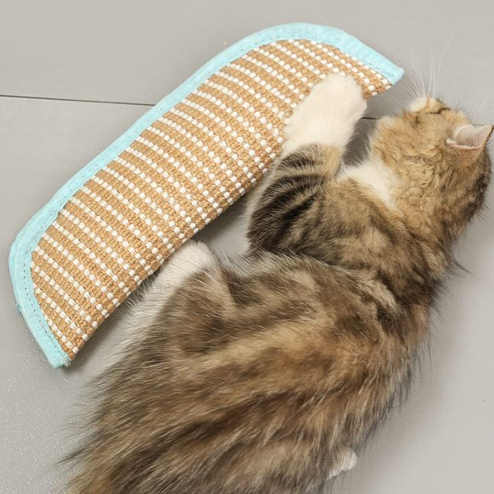 Juguete Para Gatos Con Hierba Gatera Compañero Interactivo 2 Piezas | Juguetes En Forma De Almohada Con Hierba Gatera Para Gatitos Para Razas Pequeñas Medianas y Grandes en Interior y Exterior