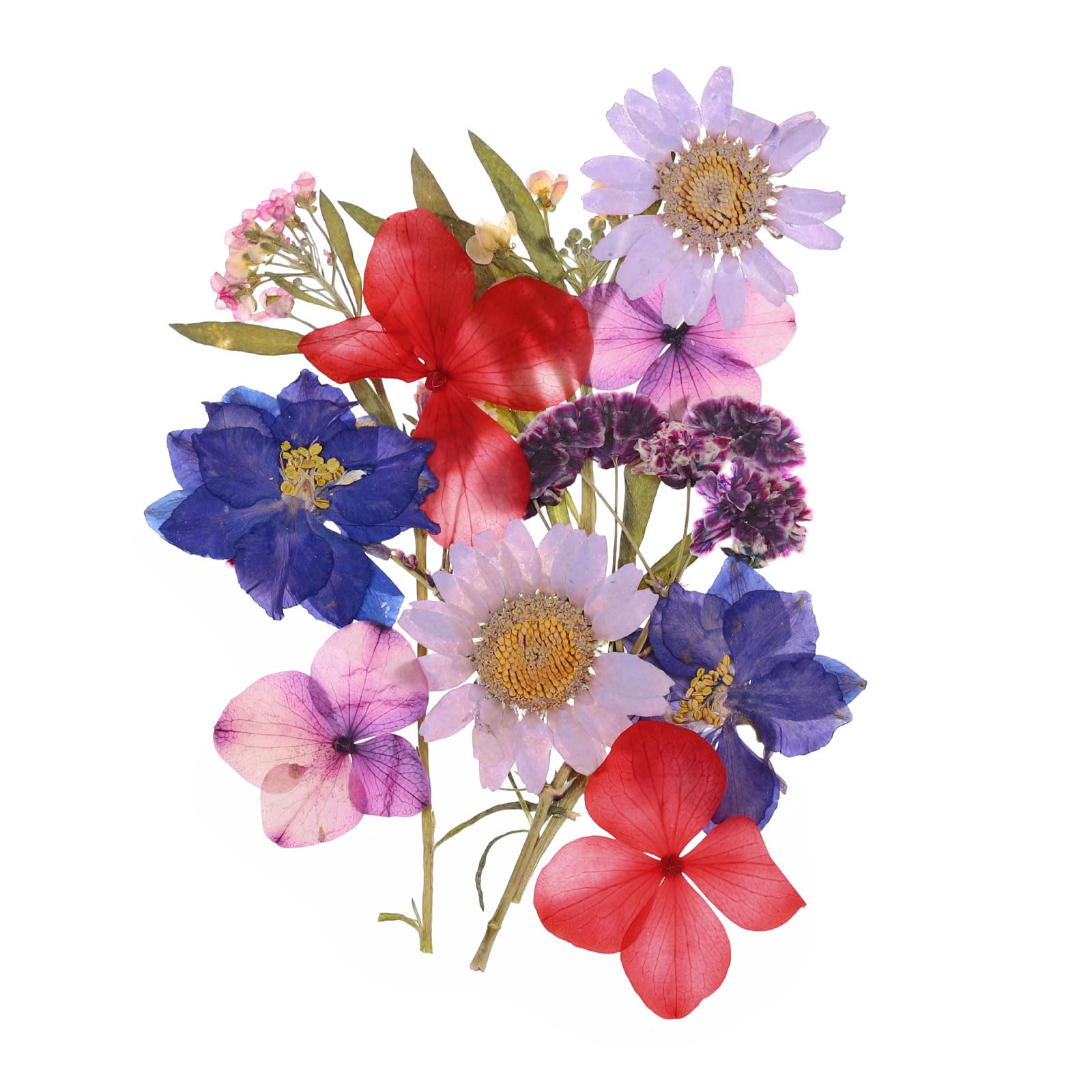 PATIKIL Dried Pressed Flowers
