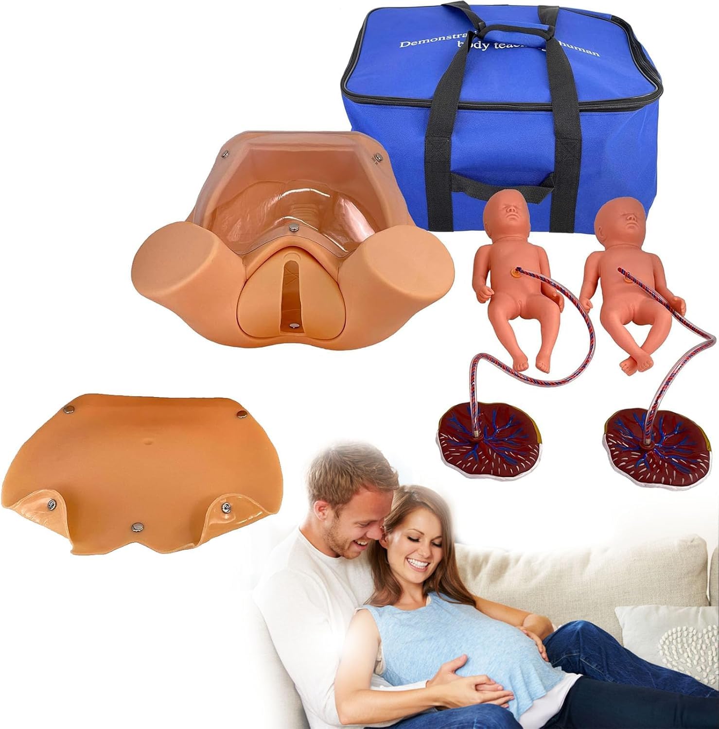 Advanced Childbirth Simulator Anatomy Manikin Childbirth Demonstration Life Size Pelvic Anatomical Model Delivery Maternity Teaching Mold Includes Models