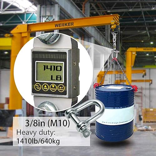 Miniatura 4 de Grillete en forma de D 304 de acero inoxidable de 532 pulgadas, 14 pulgadas, 516 pulgadas, 38 pulgadas, 916 pulgadas, para cadenas Wirerope