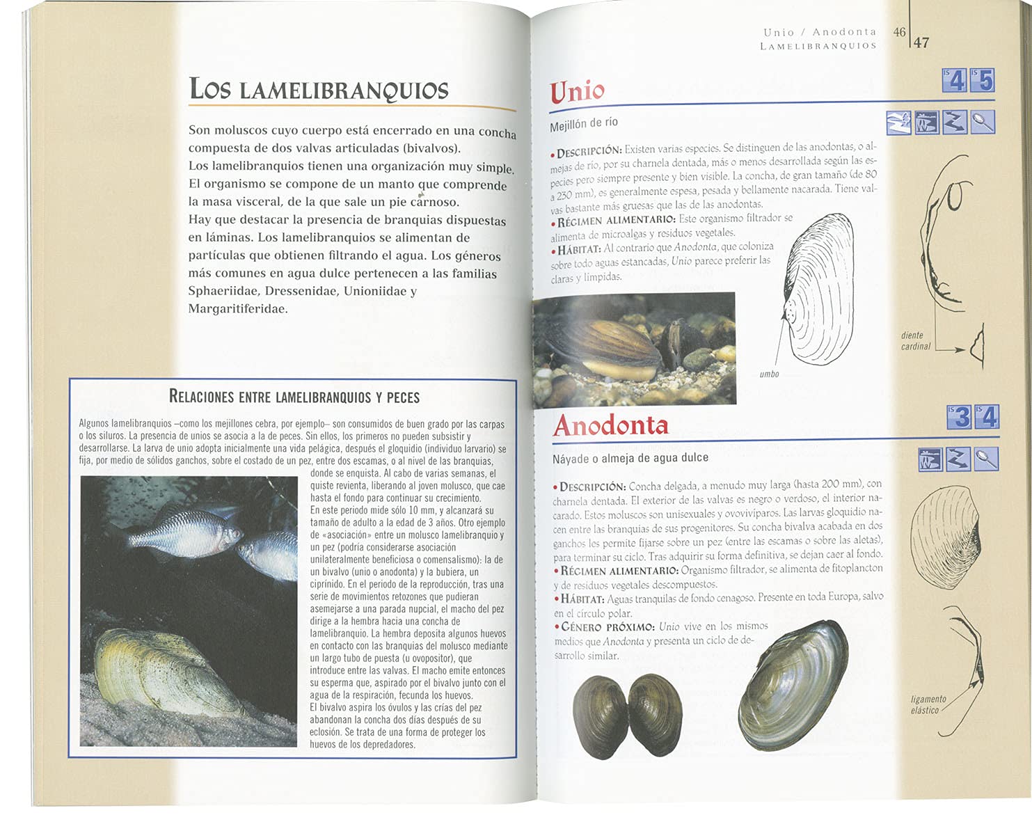 Invertebrados De Agua Dulce(Naturaleza-Animales Acuaticos)