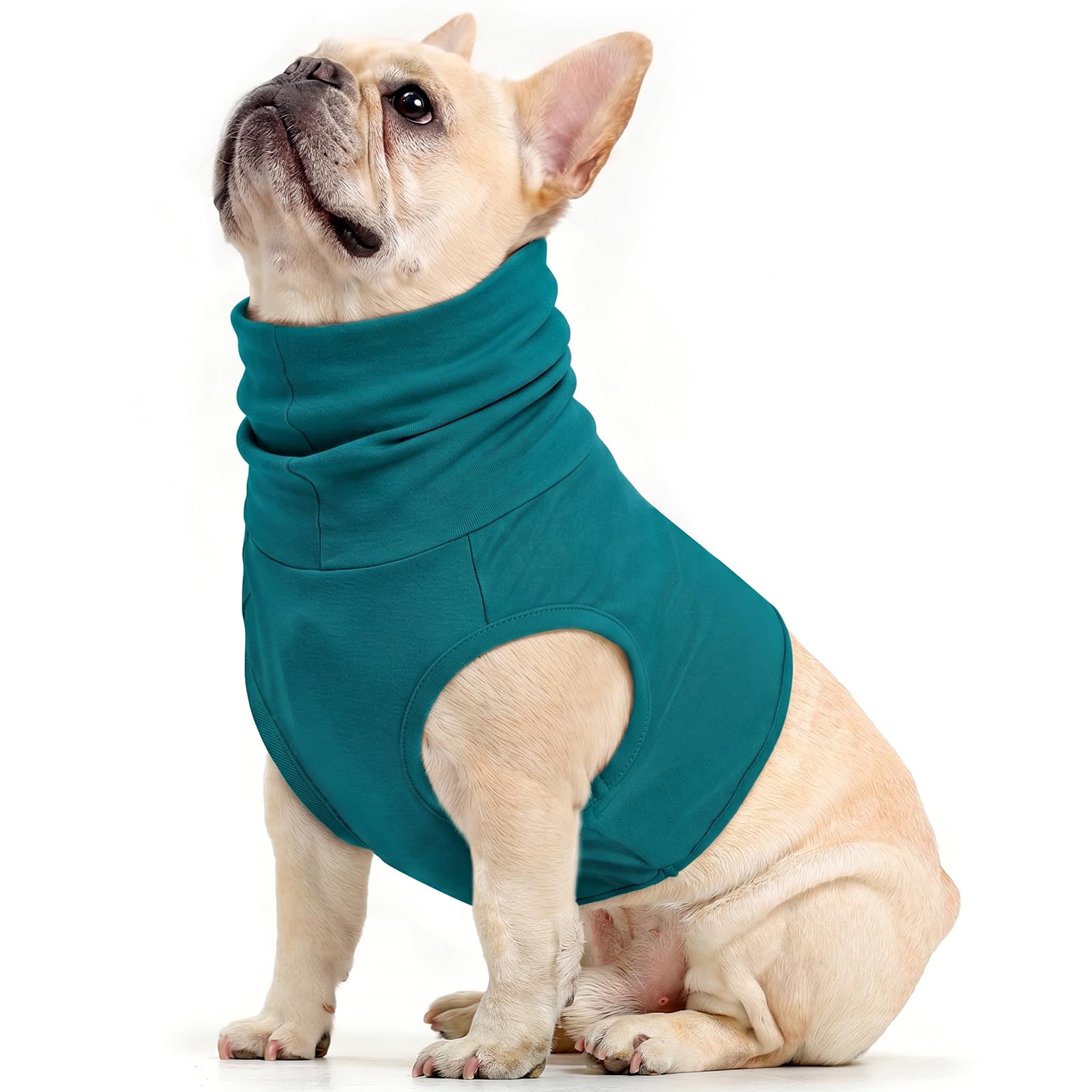 PUMYPOREITY Dog Turtleneck Shirt, Dog Neck Protector Recovery Suit Neck Bandage, Neck And Chest Protection, Surgical Cover For Wound On-Neck(Turquoise, M)