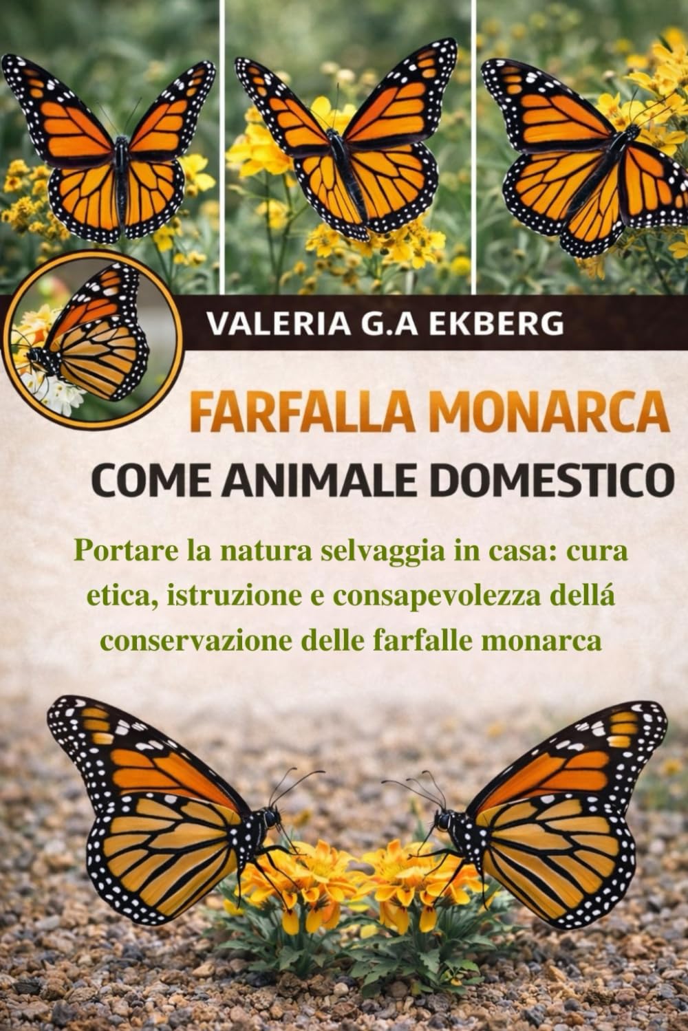 FARFALLA MONARCA COME ANIMALE DOMESTICO: Portare la natura selvaggia in casa: cura etica, istruzione e consapevolezza della conservazione delle farfalle monarca