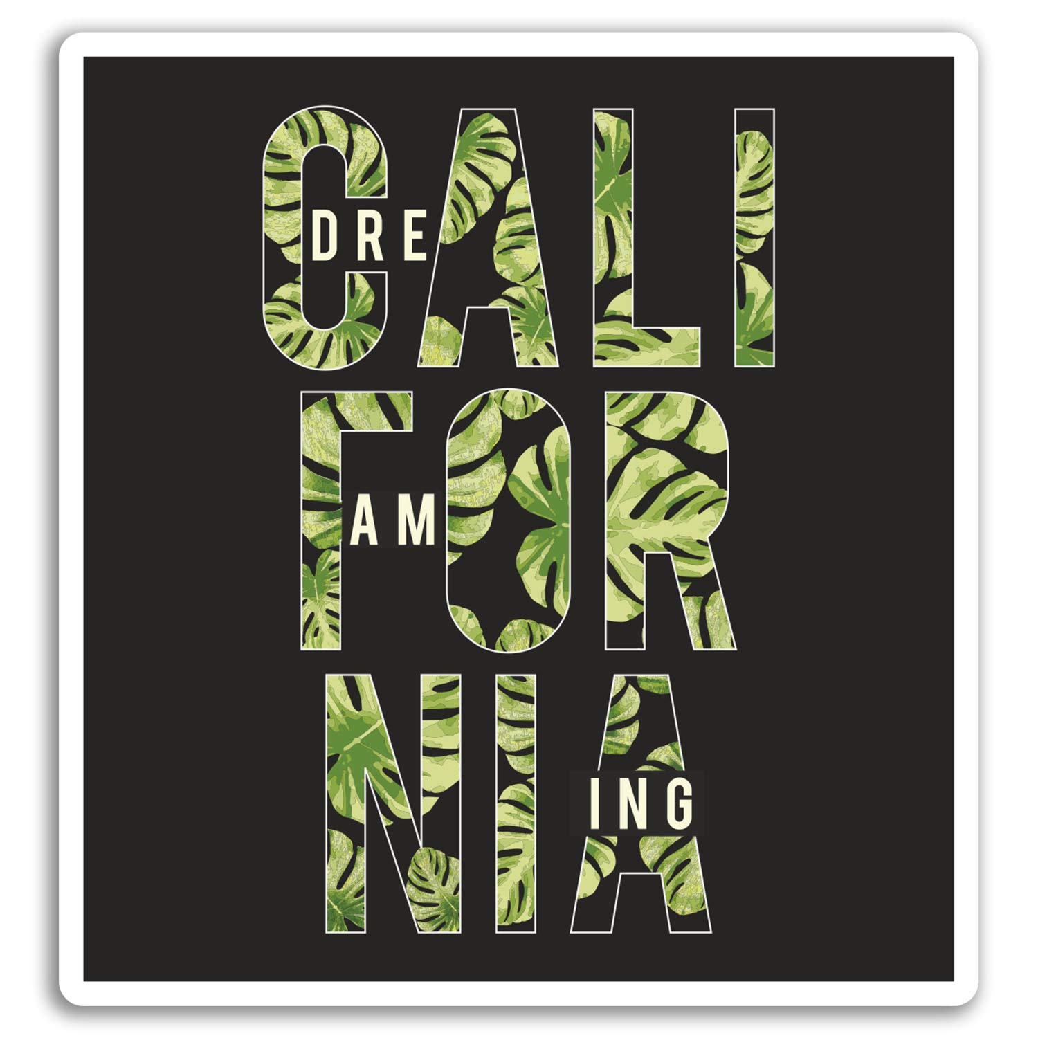 Destination Vinyl Ltd Multi 2 X 10Cm California Dreaming Vinyl Stickers - Surfer Surf Sticker Laptop #18547 (10Cm Tall)