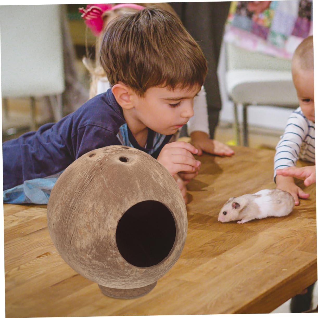 PRETYZOOM 6stücke Hamster Kokosnuss Versteck Für Kleintiere Vielseitiges Haustierhaus Für Hamster Meerschweinchen Und Igel Schlafen Und Ausruhen