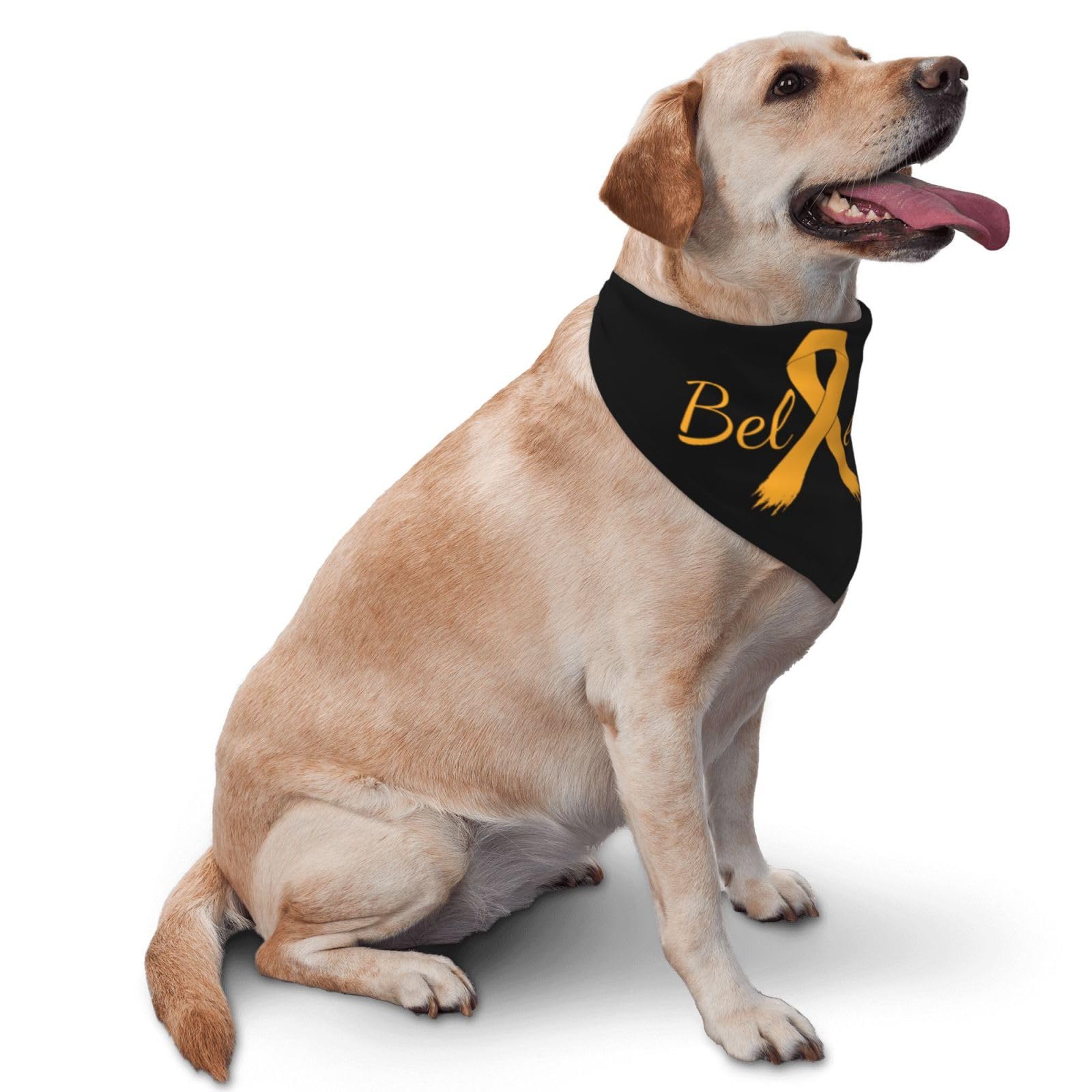 Cancer Believe Appendix Cancer Amber Ribbon Dog Scarf Pet Bandana Cat Pet Bibs