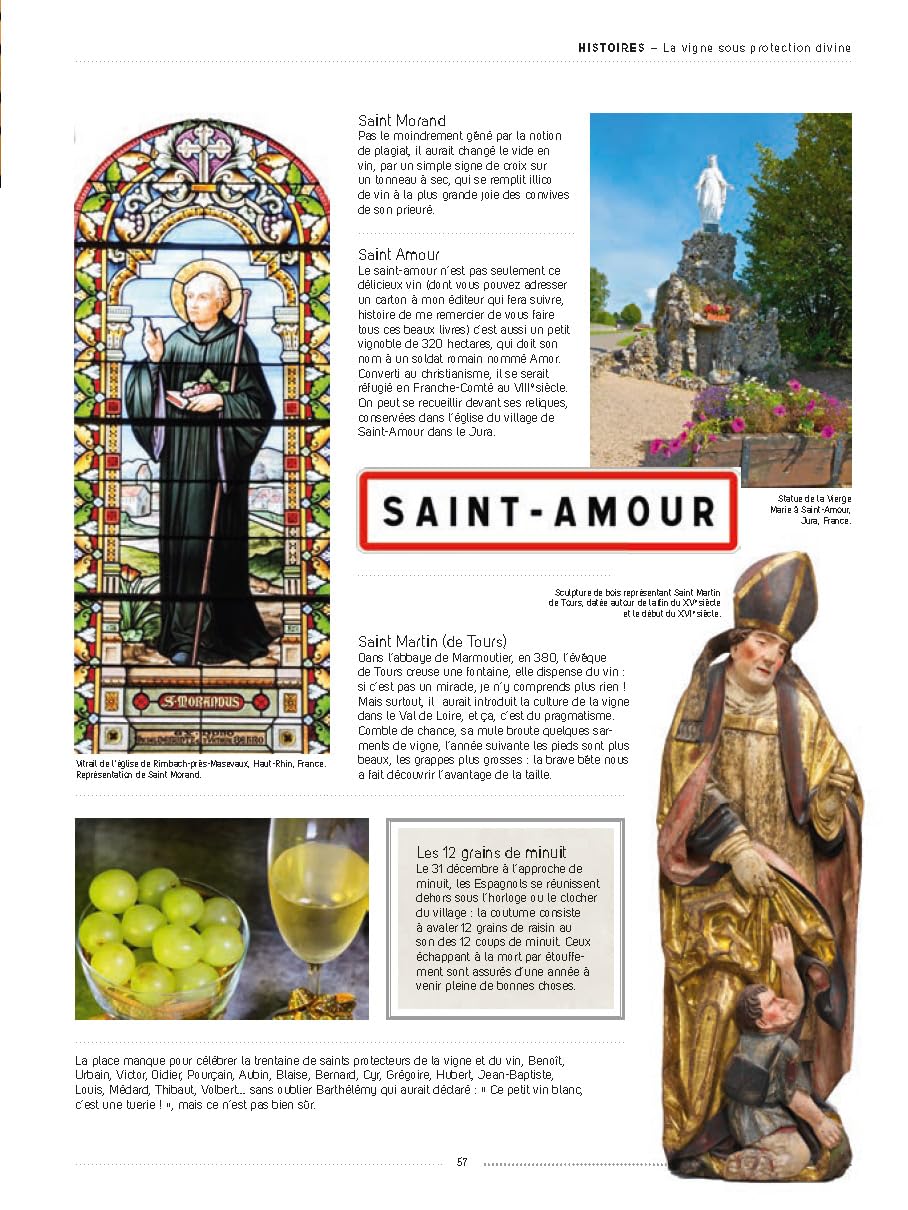 Vignes et raisins: Tous les savoirs, toutes les histoires, tous les pouvoirs, tous les espoirs…