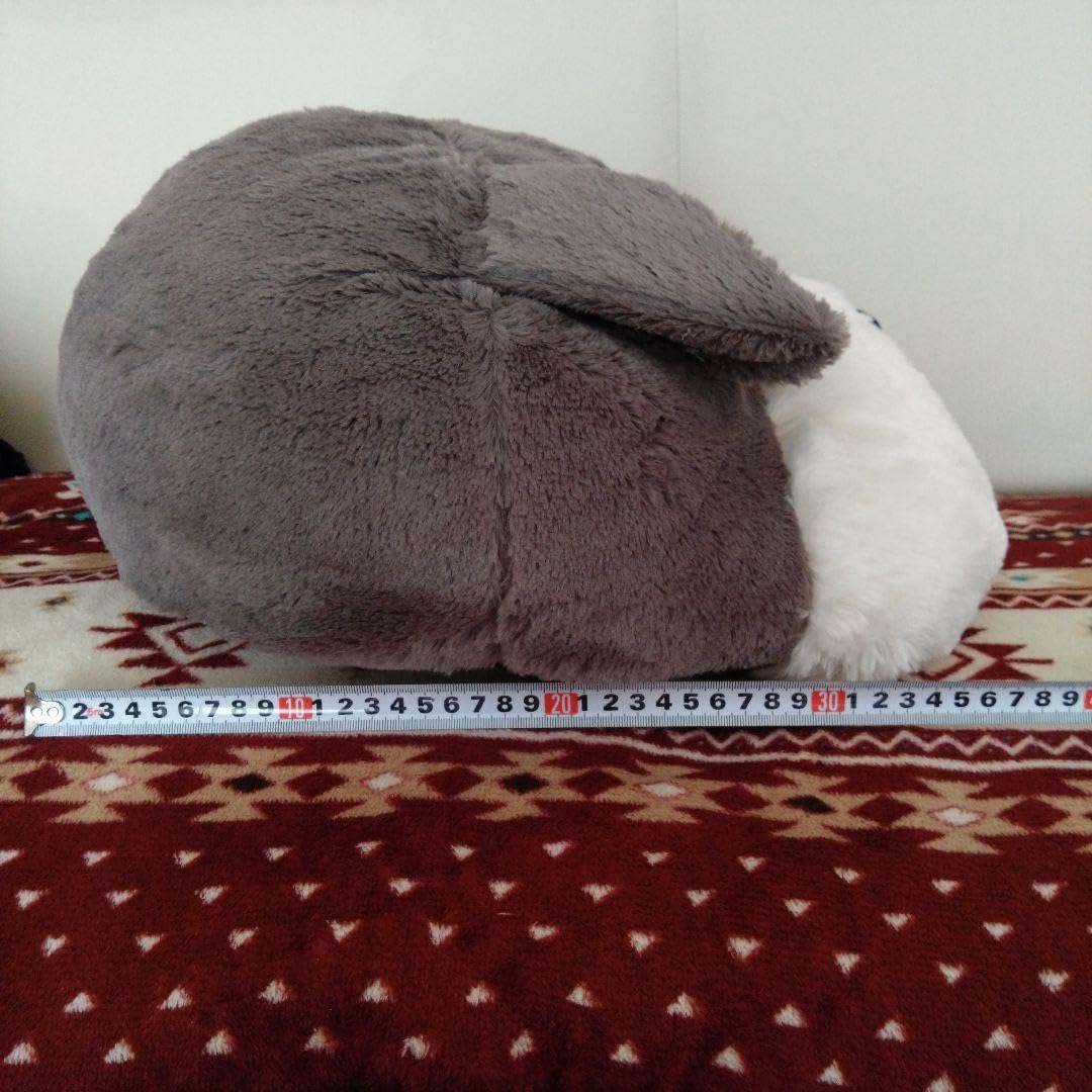 Amazon.co.jp: アミューズ シュナウザー ドームフェイス2 2個セット