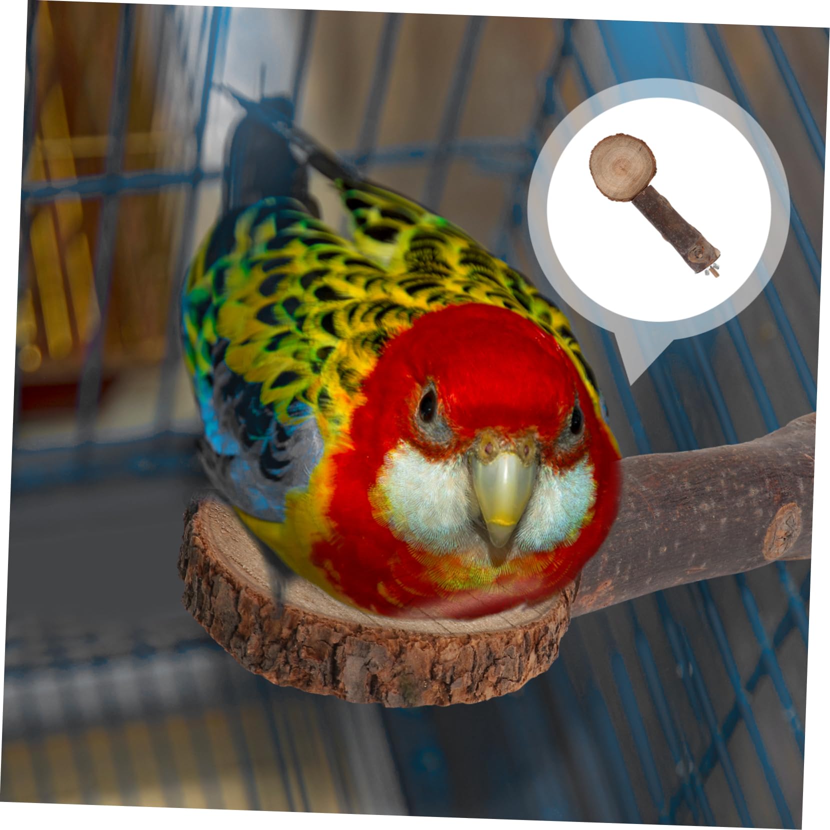 FONDOTIN Parrot Platform Gangplank Bird Stands for Parrots Perches for Birds Natural Wood Material