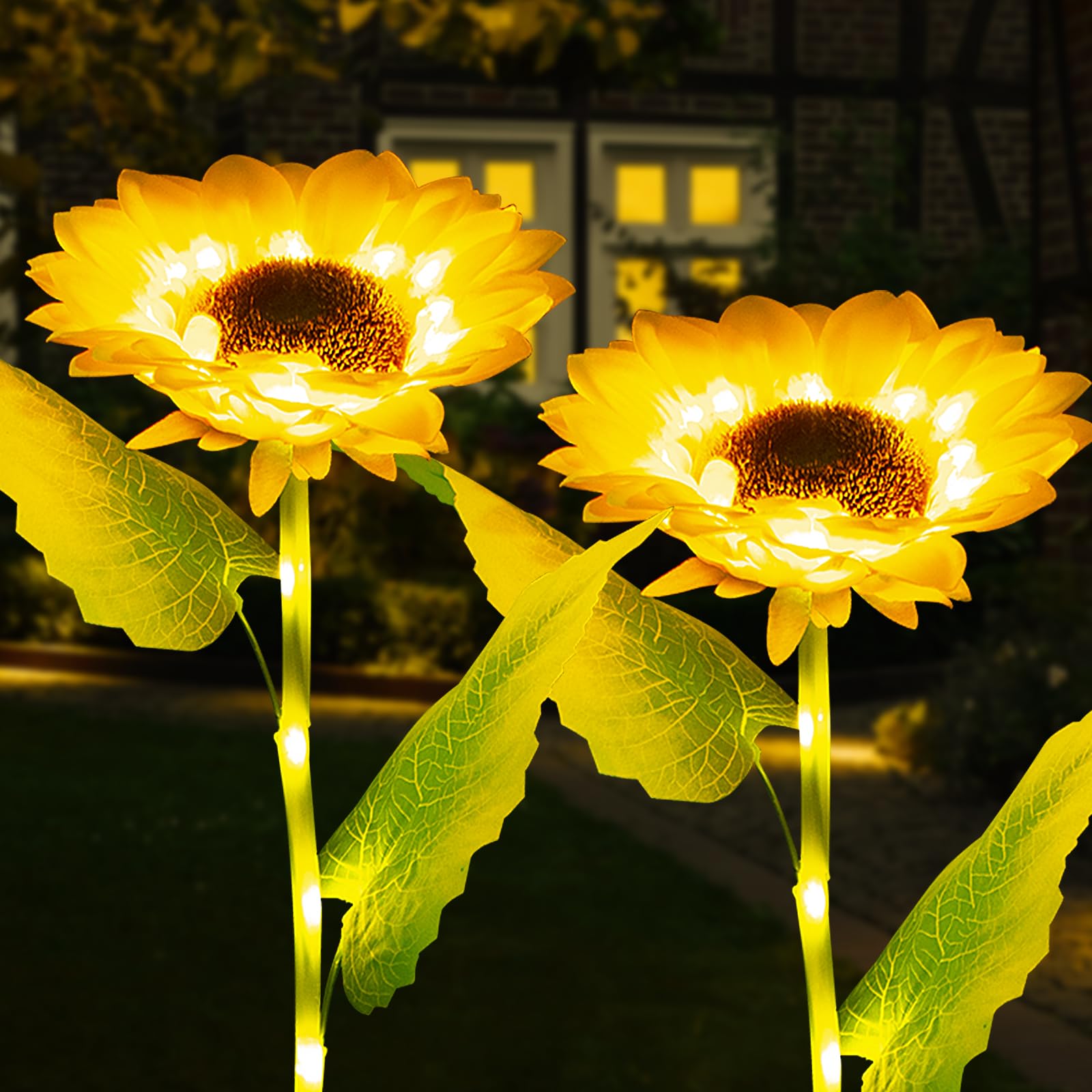 Luci Solari Girasole Per Esterno – 50 LED, 5 Metri, 8 Modalità, Impermeabile, Calde