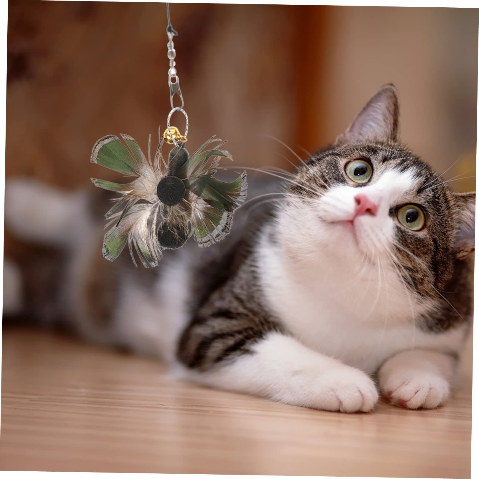 Happyyami 30 Pièces Rechange pour Chat Teaser Chat Remplacement De De pour D'intérieur