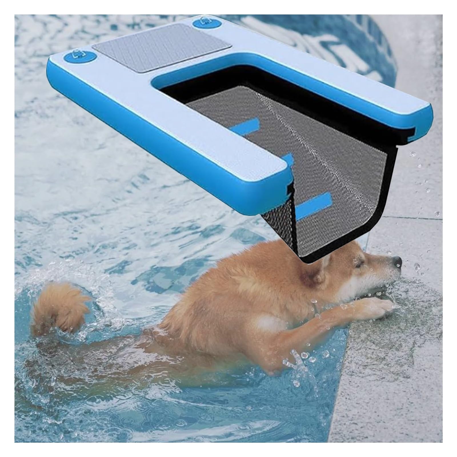 Rampe flottante pour chien antidérapante et robuste pour bateau et piscine