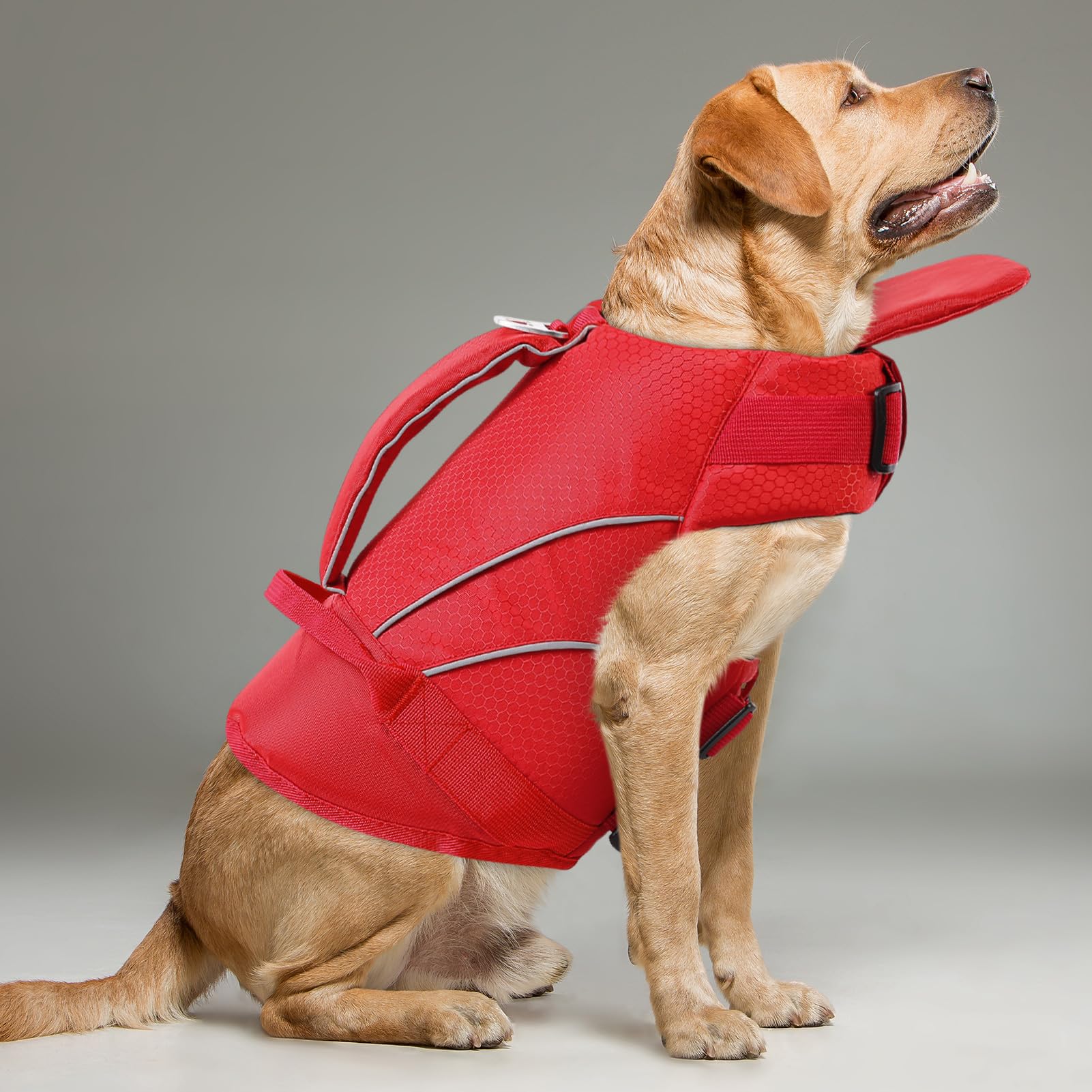 Chaleco Salvavidas para Perros - Chaleco de Seguridad con Tiras Reflectantes y Asa, Talla XS a XL, para Piscina, Playa, Natación, Bote | KONVINIT