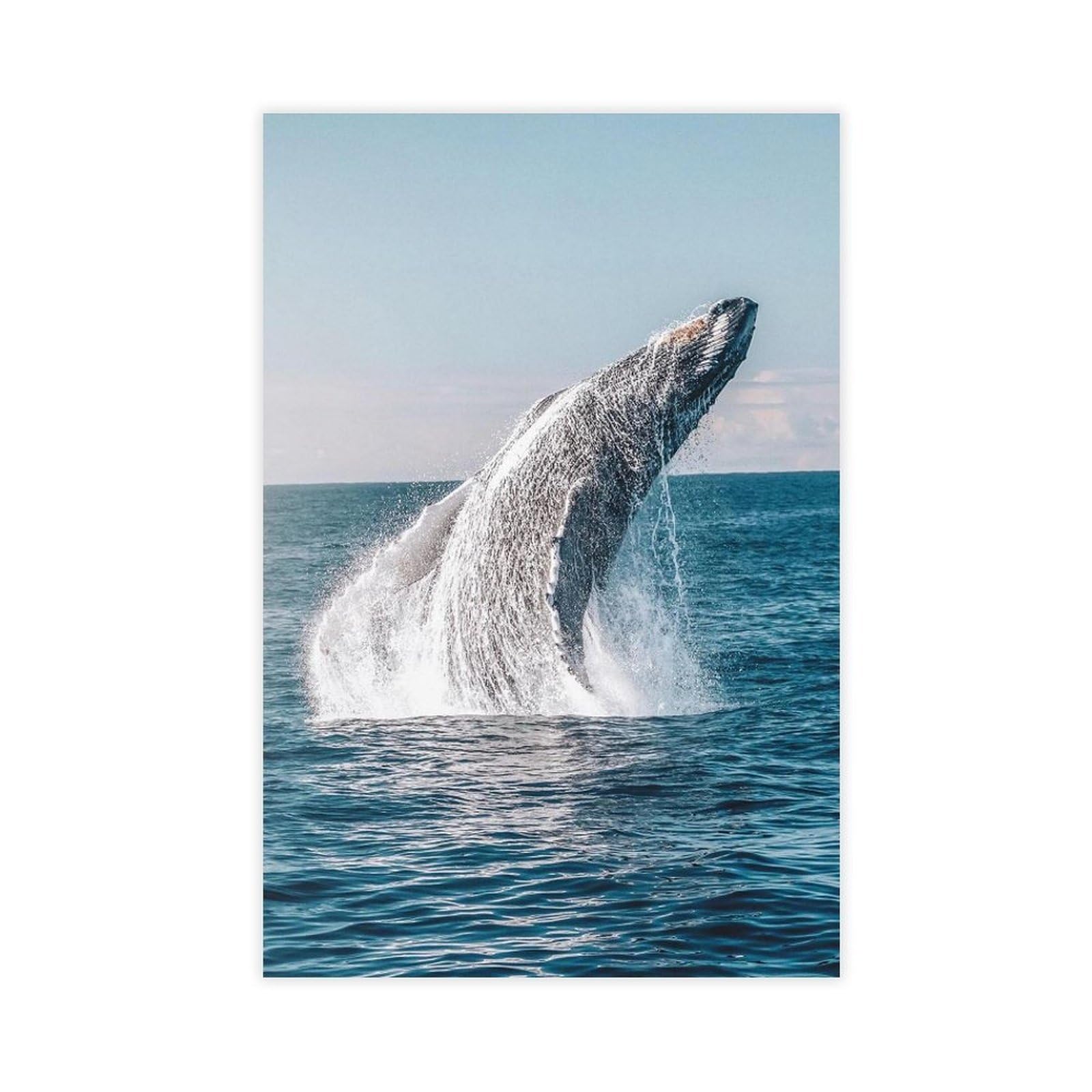 Flamint Unframe Breaching Humpback Whale Australia Canvas Poster Bedroom Decor Landscape Office Room Decor Gift 16" L X 24" W