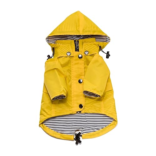 Pet Supplies Amazon Wedding