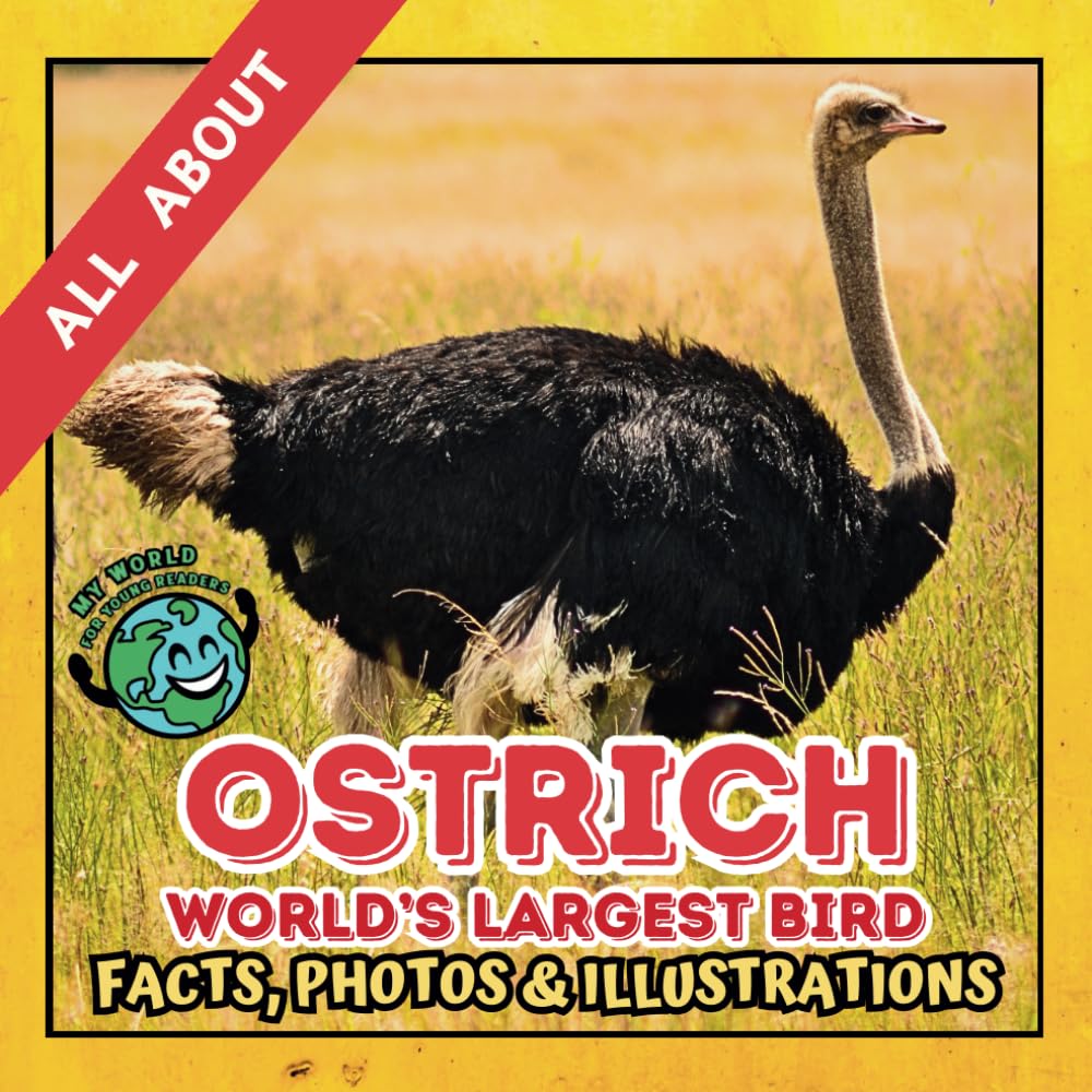 All about Ostrich | Facts, Photos and Illustrations: A Picture Book for Curious Children | Screen-Free Infotainment (MY WORLD for YOUNG READERS)