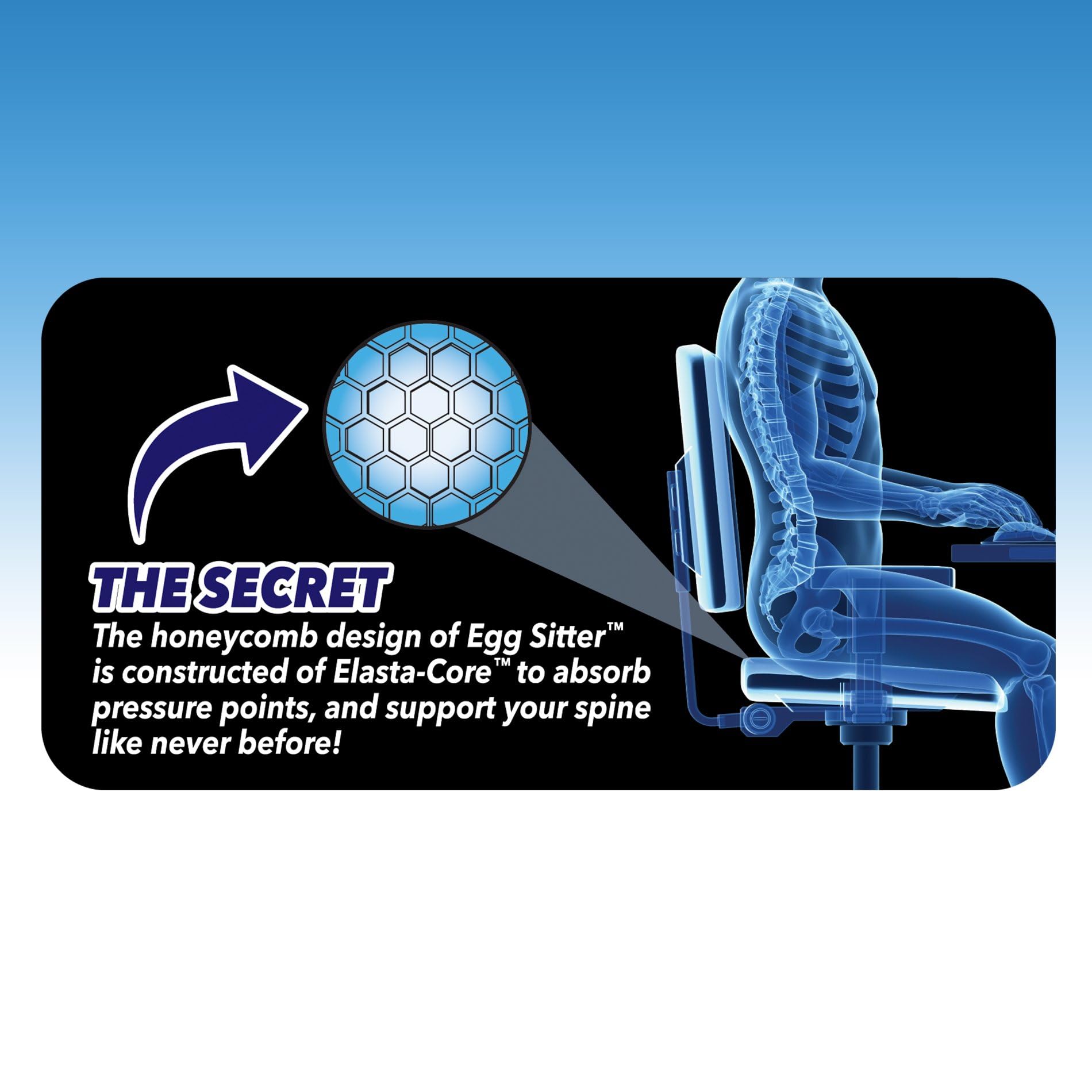 BulbHead Egg Sitter Seat Cushion with Non-Slip Cover, Breathable Honeycomb Design Absorbs Pressure Points